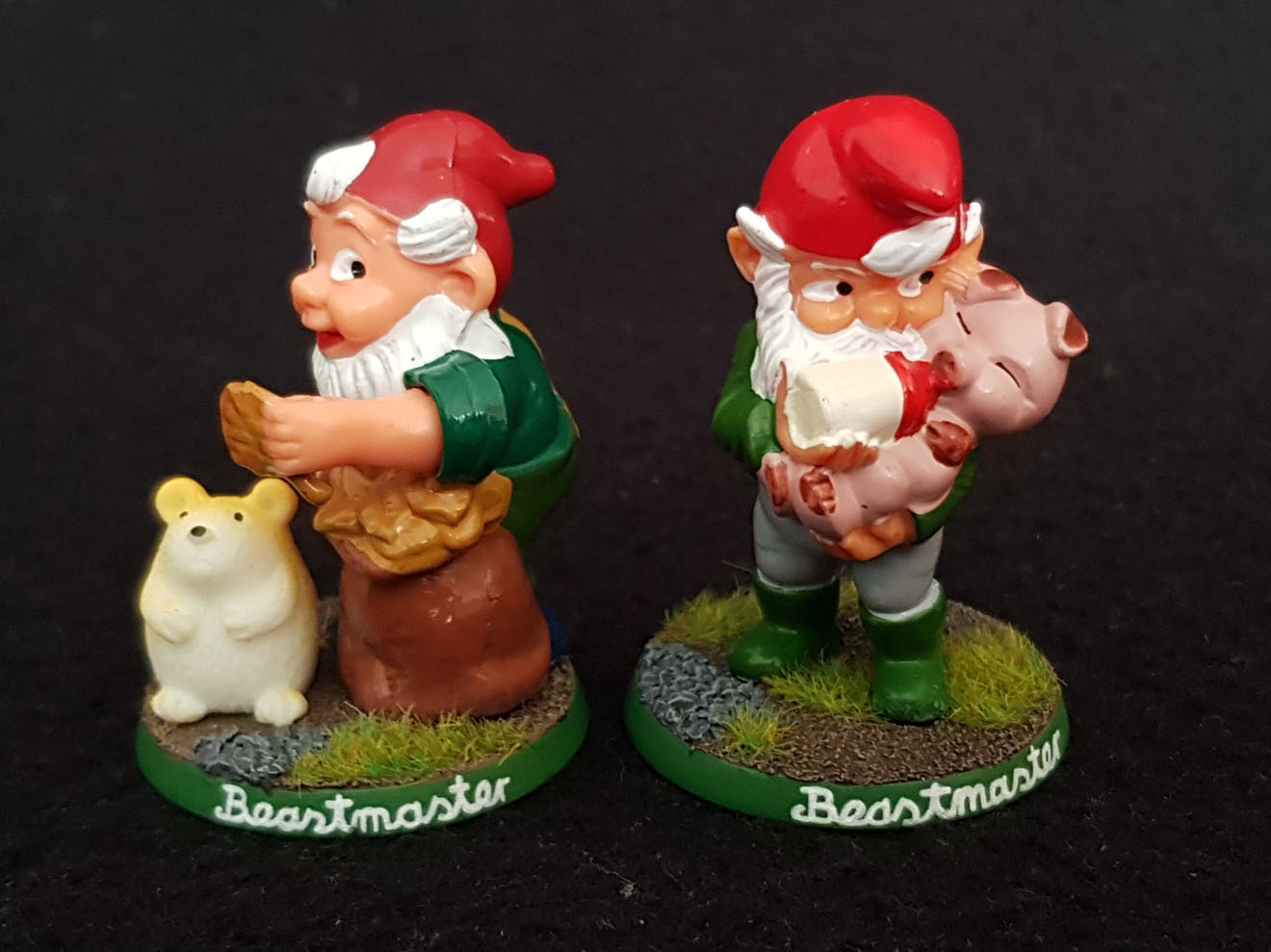 Kinder Surprise Gnome Beastmaster